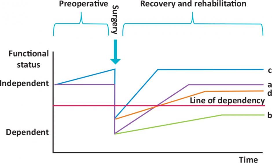 Prehabilitation graph against time