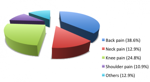 Pie chart showing proportion of our patients with different pain
